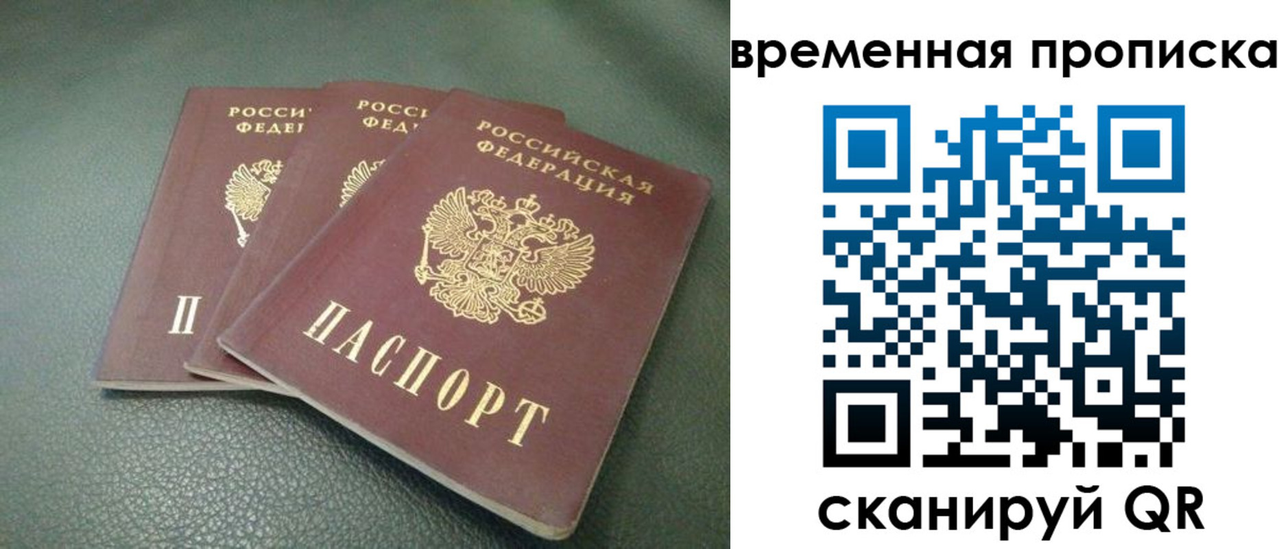 прописка гарантия в Зее